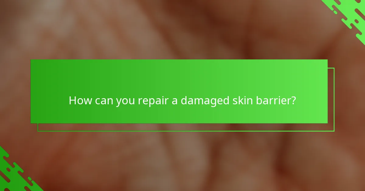 How can you repair a damaged skin barrier?