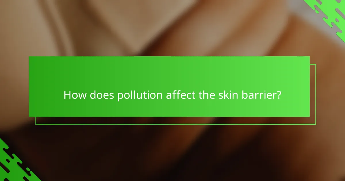 How does pollution affect the skin barrier?