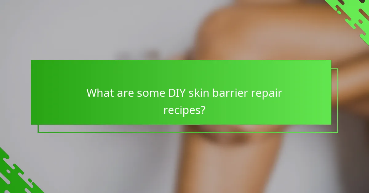 What are some DIY skin barrier repair recipes?