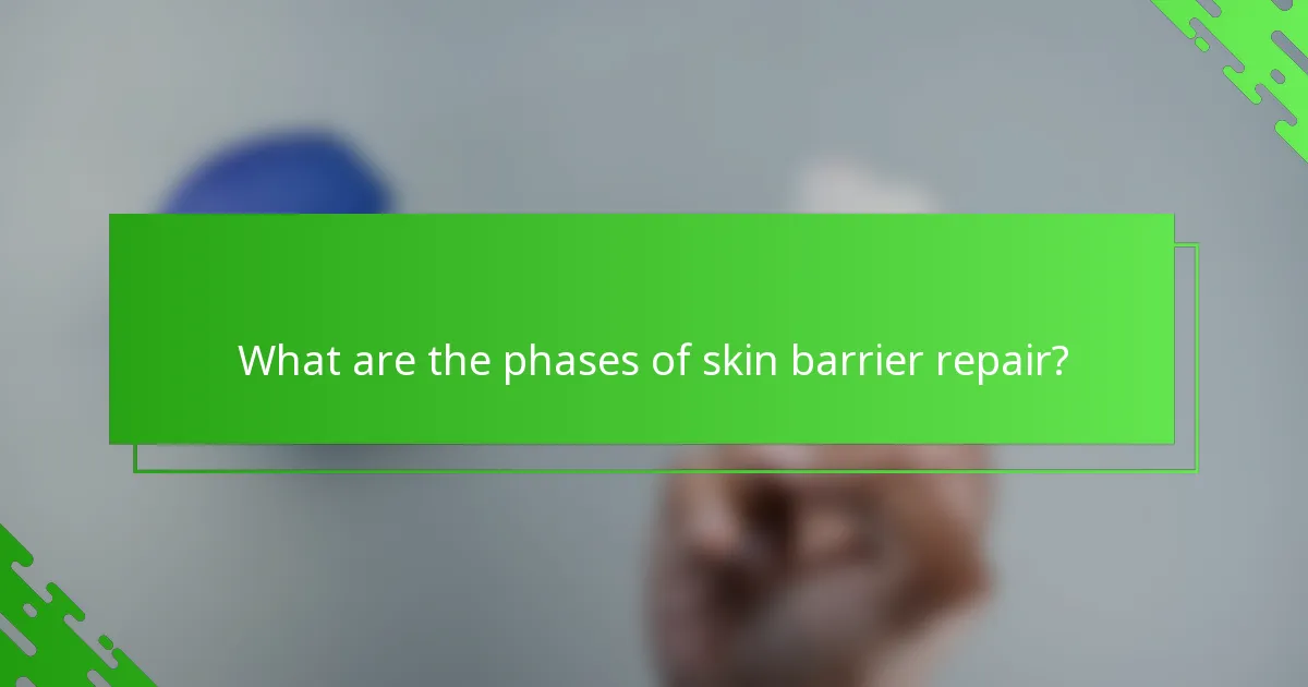 What are the phases of skin barrier repair?