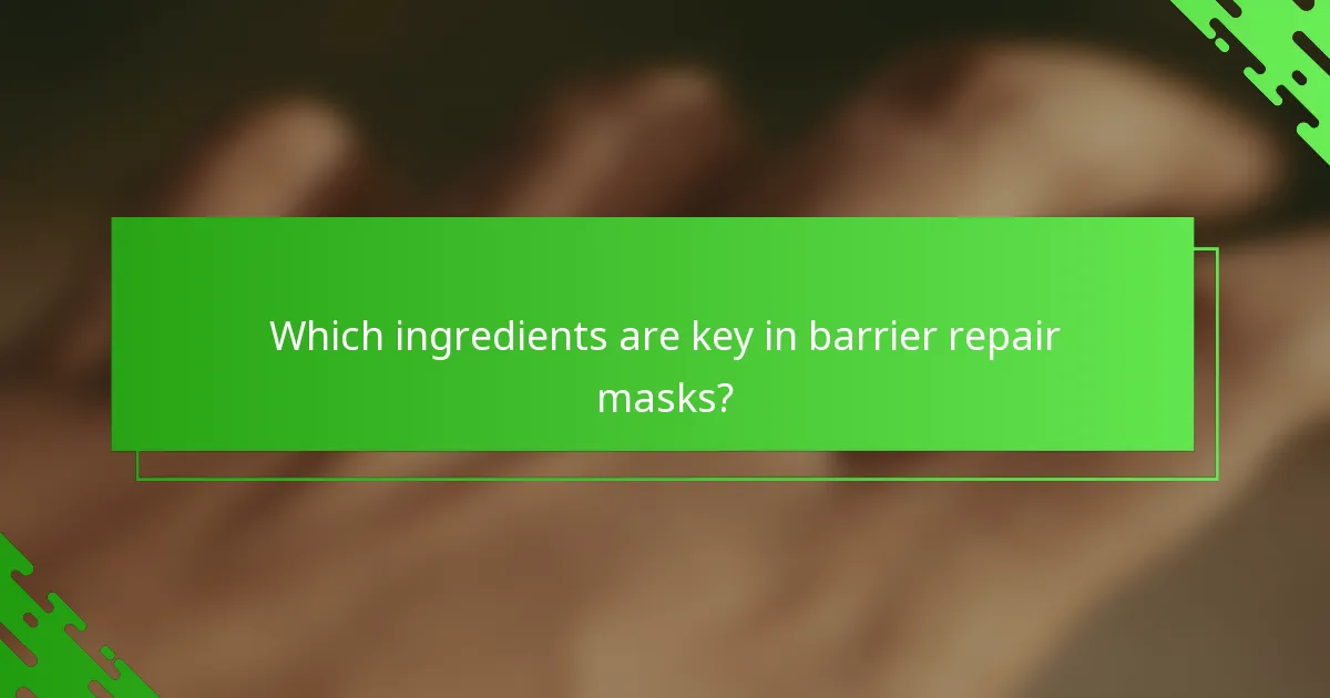 Which ingredients are key in barrier repair masks?