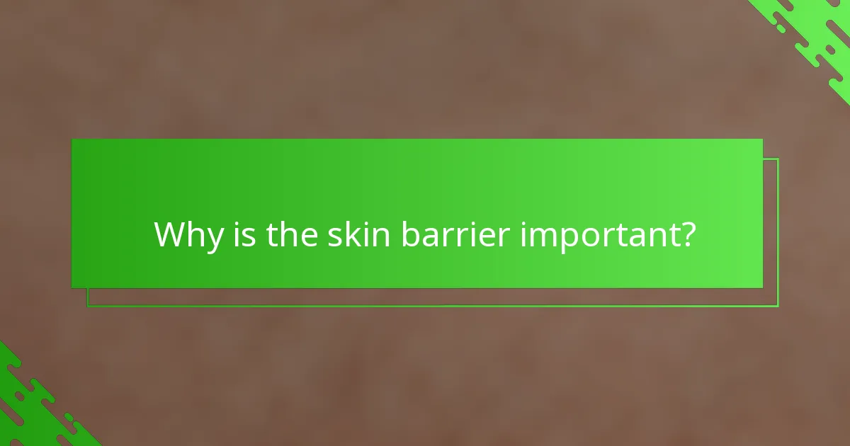 Why is the skin barrier important?